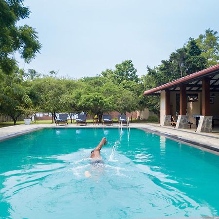 Yala Chalets By Lalan Leisure Kirinda  Εξωτερικό φωτογραφία