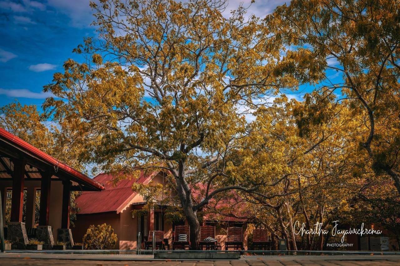 Yala Chalets By Lalan Leisure Kirinda  Εξωτερικό φωτογραφία